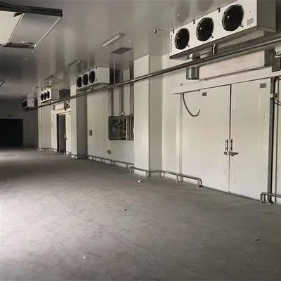 Fresh Fruits And Vegetables Cold Room