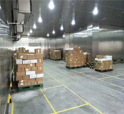Zhexue Walk-in Food Cold Room